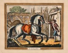 A collection of equestrian prints including 'Terre a Terre' and 'La Capriole', inscribed, all 4.5