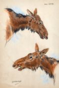 Raymond John Vandenbergh (1889-1960's) British, 'Cow Moose', And two other similar on of a Coyote