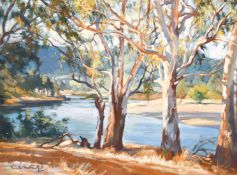 Evelyn Pamela Thalben-Ball (1927-2012) British/Australian, A view of a river through trees, oil on