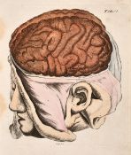 A. Fyfe, a group of 18th century anatomical prints, all 12