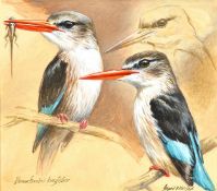 Ingrid Weiersbye (b.1945) South Africa, 'Brownhooded Kingfisher', A study of a bird, watercolour and