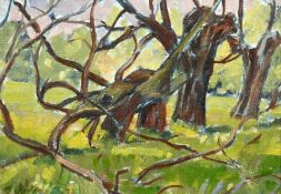 Llewellyn Petley Jones (1908-1996) Canadian/British, A study of trees in a landscape, oil on