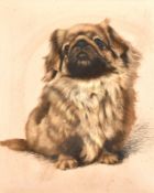 Leslie S.G. Harries (1900-1975) A study of a seated dog, mixed media, signed, 16
