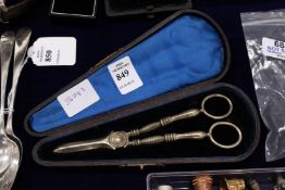 A leather cased pair of grape scissors.