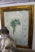 A large gilt framed botanical print.