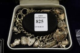 A silver charm bracelet.