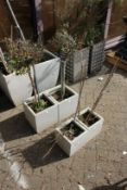 Two pairs of modern garden pots containing shrubs.