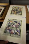 Henry Fletcher, a pair of unframed hand coloured prints of Robert Furber's Catalogue of Fruits.