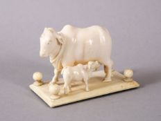 A 19TH CENTURY INDIAN CARVED IVORY FIGURE OF A NANDI COW AND CALF on stand, 7cm long.