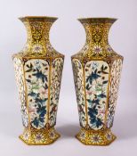 A GOOD PAIR OF CHINESE CLOISONNE HEXAGONAL FORMED FLORAL VASES, each vase with six main panels each