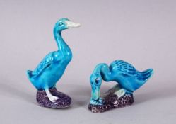 A PAIR OF CHINESE TURQUOISE GLAZED FIGURES OF DUCKS, stood upon stylized rocky bases with