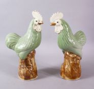 A PAIR OF CHINESE CELADON GLADE PORCELAIN MODEL CHICKENS, each upon a stylized rocky outcrop, with a