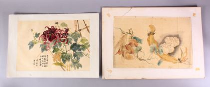 TWO CHINESE PAINTINGS OF NATIVE FLORAL DISPLAY, one on paper depicting natural vegetable growth,