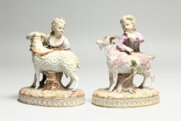 A GOOD PAIR OF 19TH CENTURY MEISSEN PORCELAIN GROUPS, a young boy with a goat and a girl with a