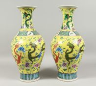A GOOD PAIR OF CHINESE YELLOW DRAGON VASE 17ins high.