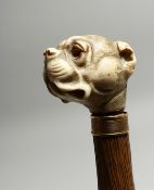 A RUSTIC WALKING STICK WITH BULL DOG IVORY HANDLE. 34ins long