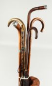 SIX VARIOUS WALKING STICKS