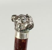 A VICTORIAN BLACKTHORN WALKING STICK with cast metal bull dog handle 38ins long.