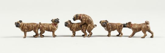 THREE SMALL PAINTED BRONZE MATING DOGS 1.25ins high