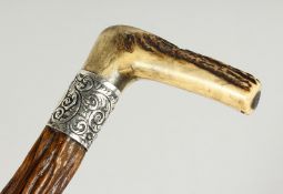 A LARGE SCOTTISH BONE HANDLED WALKING STICK with silver band. 33ins long.