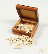 A BOX OF SHARK'S TEETH