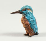 A COLD CAST PAINTED BRONZE KINGFISHER PIN CUSHION 2.5ins long