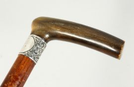 A VICTORIAN RHINO HANDLE AND TIP WALKING STICK with silver band 36ins long