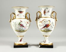 A GOOD PAIR OF FRENCH PORCELAIN TWO HANDLED VASES, painted with flowers, birds insects and