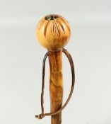 A BLACKTHORN CANE, the handle with a compass. 36ins long.