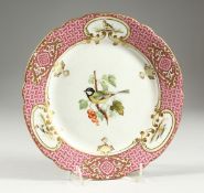 AN ENGLISH PORCELAIN PLATE, the border with vignettes of birds, the centre painted with a great tit.