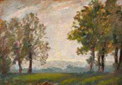 John Brown (1887-1966) British, A scene of a changing sky as seen through trees, oil on board,