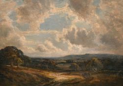 Edwin Harris (19th century) British, An extensive landscape with a cloudy sky, oil on board, signed,