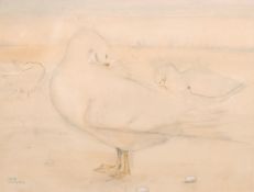 K. Mackie (20th Century), A study of white ducks preening their feathers, watercolour, 10