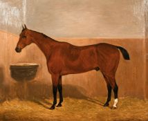 F. Clifton (19th century English school) A chestnut horse in a stable, oil on canvas, signed, 20