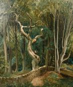 Robert Kirkland Jamieson (1881-1950) British, A study of trees in a thick forest, oil on board,