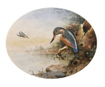 John Duncan (19th/20th century) British, 'Kingfisher on Alert', watercolour, signed and inscribed,