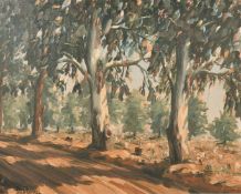 Eric Pittey (20th century) South Africa, A view of gumtrees, oil on board, signed, 16