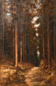 David Hewitt (1878-1939) British, A study of a pathway through a forest, oil on canvas, signed and