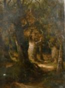 Clarence Roe (1850-1909) British, Deer by a sunlit glade in a forest, oil on canvas, signed, 36