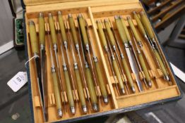 A cased set of horn handled knives, possibly rhino horn.