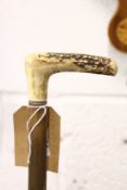 A rustic walking stick with antler handle.