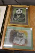 M Gaston, a study of a cat and a panda bear (2).