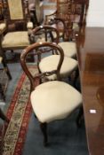 A set of six Victorian style mahogany balloon back dining chairs.