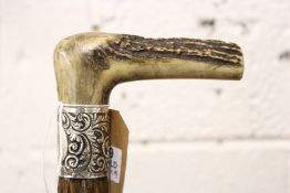 A walking stick with antler handle and silver collar.