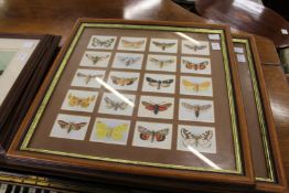 A pair of framed and glazed cigarette card collections depicting butterflies.