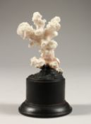 A CORAL SPECIMAN on a plinth. 2.5ins high.