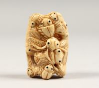 A CARVED BONE INSECT NETSUKE