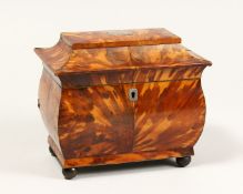 A GOOD REGENCY BLOND TORTOISESHELL TWO DIVISION TEA CADDY on four bun feet. 7ins wide.