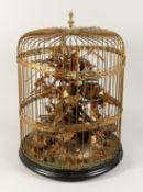TAXIDERMY - VARIOUS SMALL BIRDS IN A METAL CAGE. Cage 23 ins tall