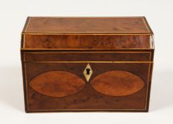 A GEORGE III THYA WOOD TWO DIVISION TEA CADDY, the front with two ovals. 7ins long.